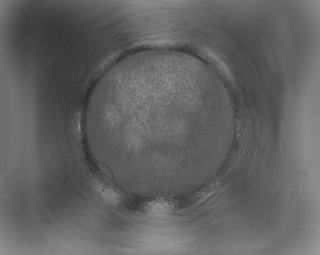 X0000073410115200608111335