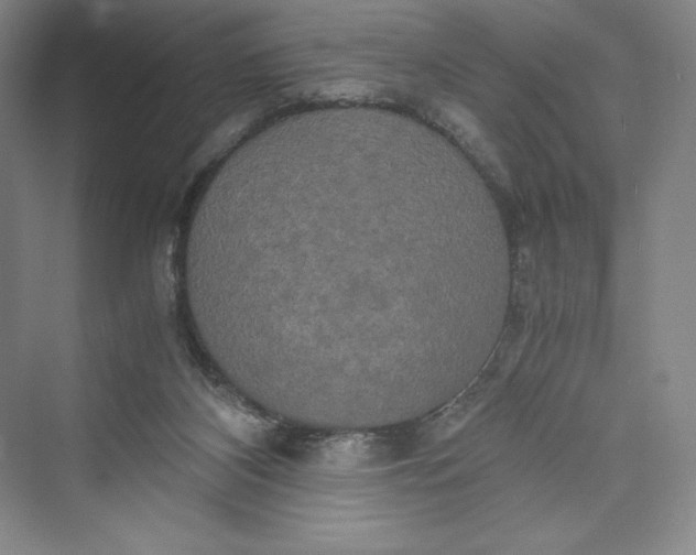 X0000073410116200608111335