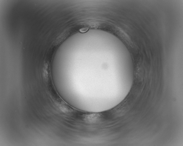 X0000073410122200608111335