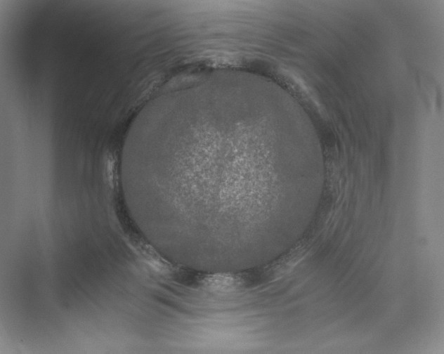 X0000073410123200608111335