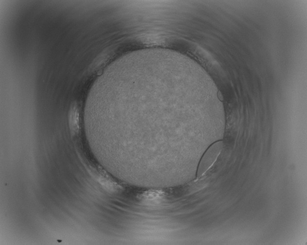 X0000073410124200608111335