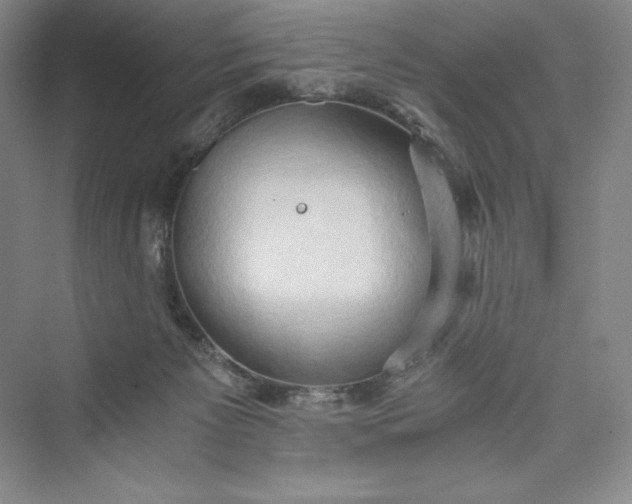 X0000073410125200608111335