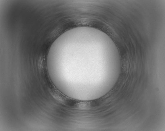 X0000073410126200608111335