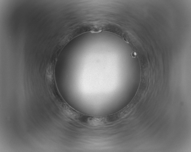 X0000073410129200608111335