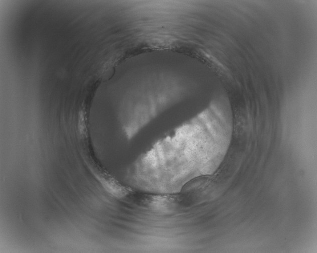 X0000073410130200608111335