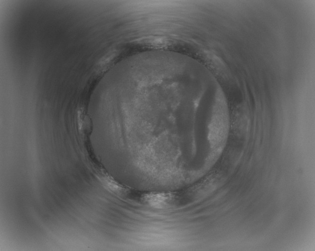 X0000073410131200608111335