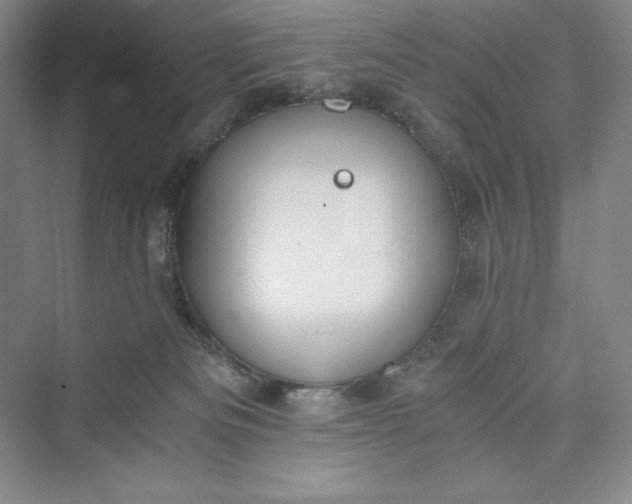 X0000073410133200608111335