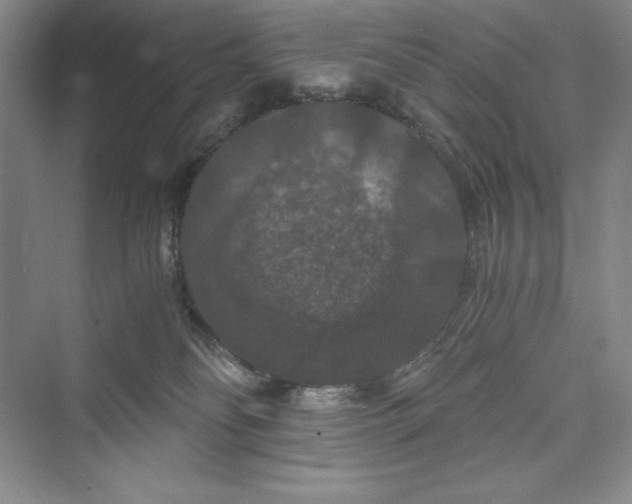 X0000073410134200608111335