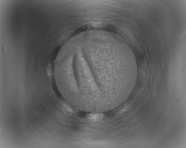 X0000073410135200608111335