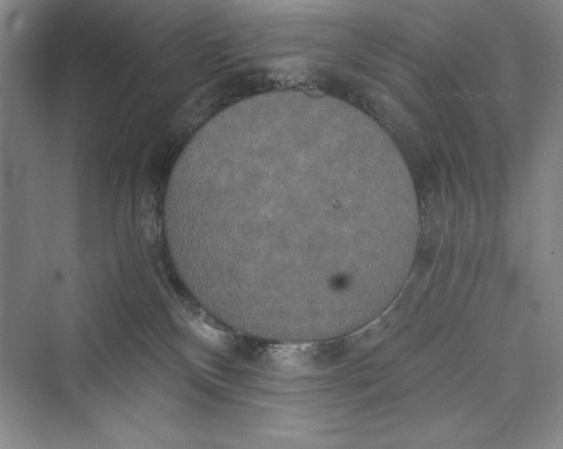 X0000073410136200608111335