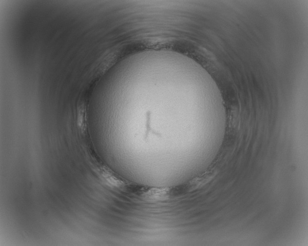 X0000073410138200608111335