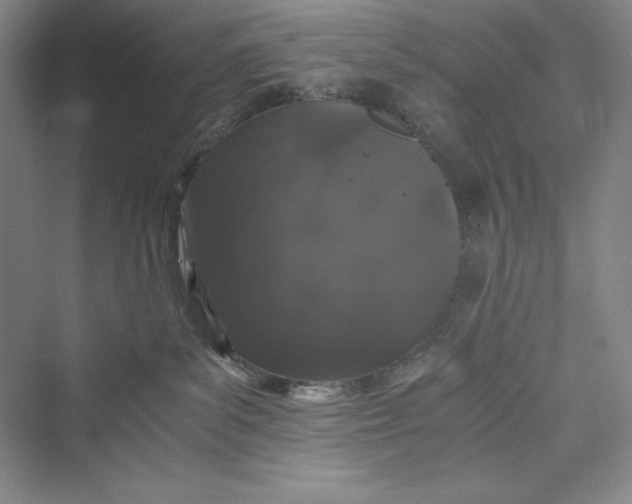 X0000073410139200608111335