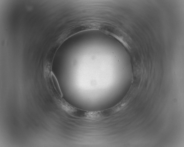 X0000073410141200608111335