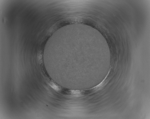 X0000073410144200608111335