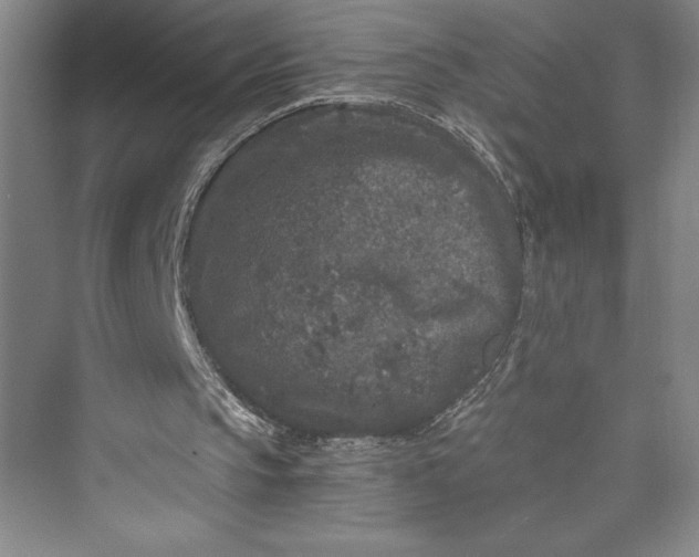 X0000073410145200608111334