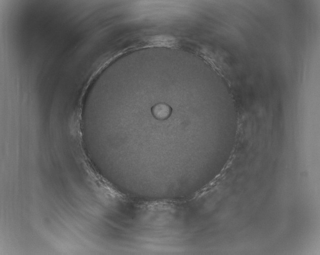 X0000073410146200608111334