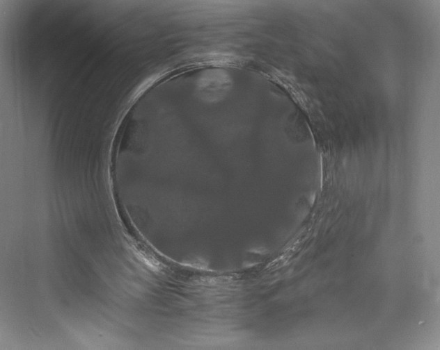 X0000073410147200608111334