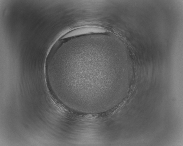 X0000073410148200608111334