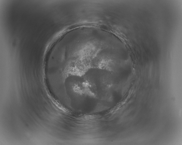 X0000073410149200608111334