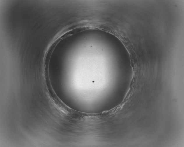 X0000073410150200608111334