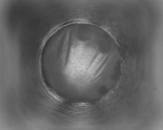 X0000073410151200608111334