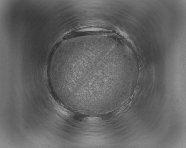 X0000073410154200608111334