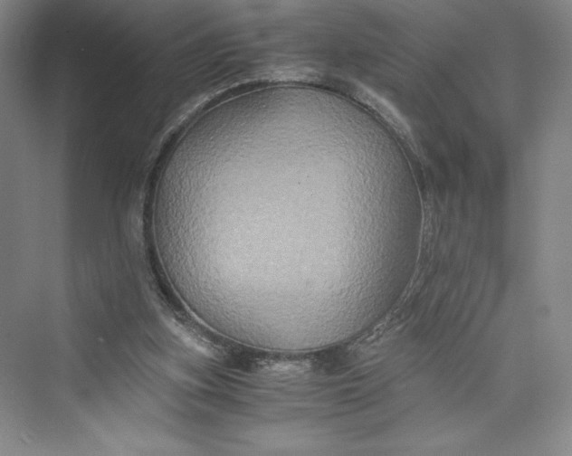 X0000073410155200608111334