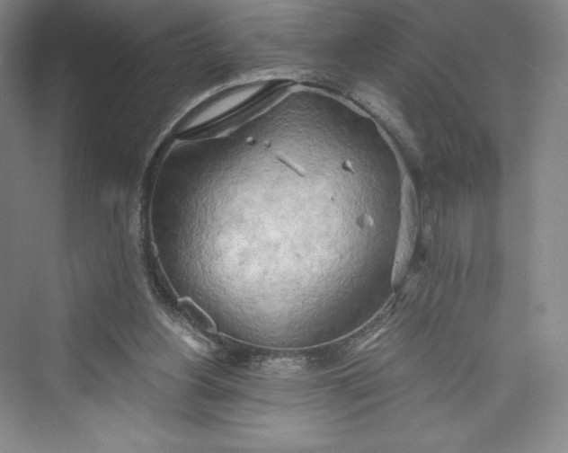 X0000073410156200608111334