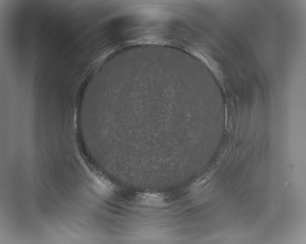 X0000073410157200608111334