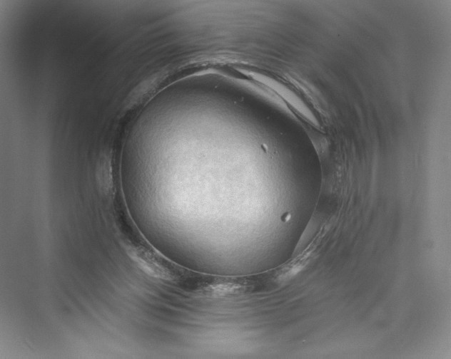 X0000073410158200608111334