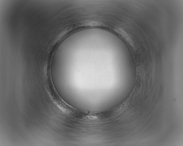 X0000073410159200608111334