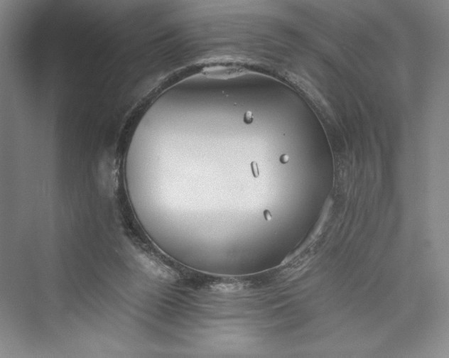 X0000073410160200608111334