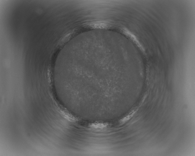 X0000073410161200608111334