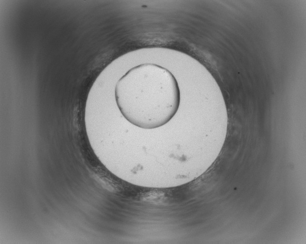 X0000073410162200608111334