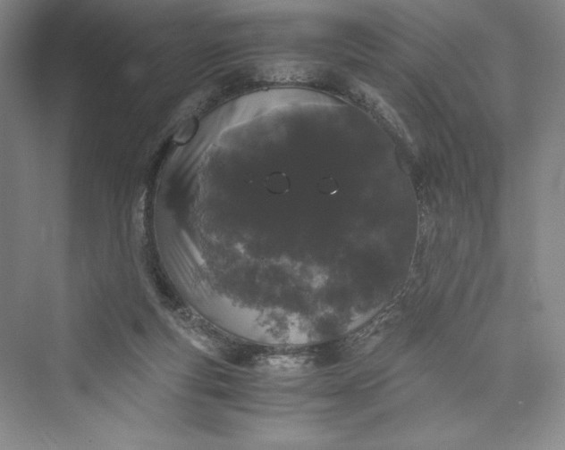 X0000073410163200608111334