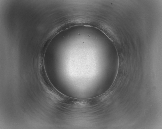 X0000073410164200608111334