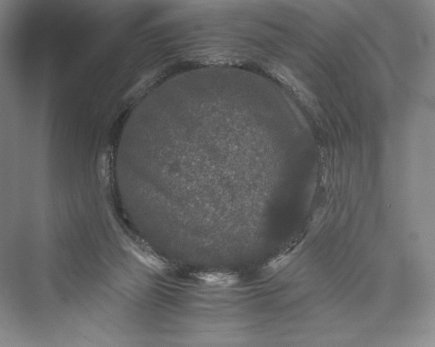 X0000073410165200608111334