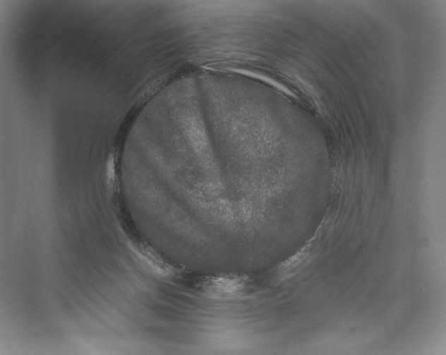 X0000073410166200608111334