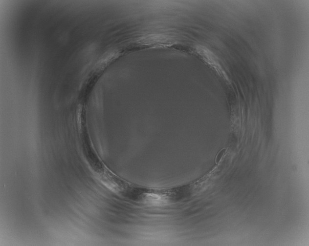 X0000073410167200608111334