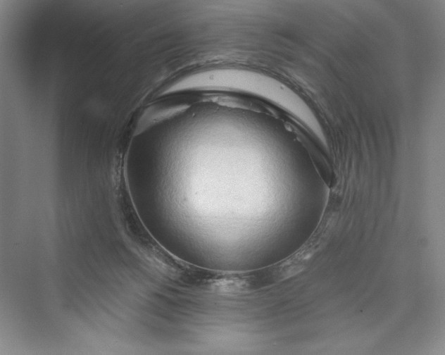 X0000073410168200608111334