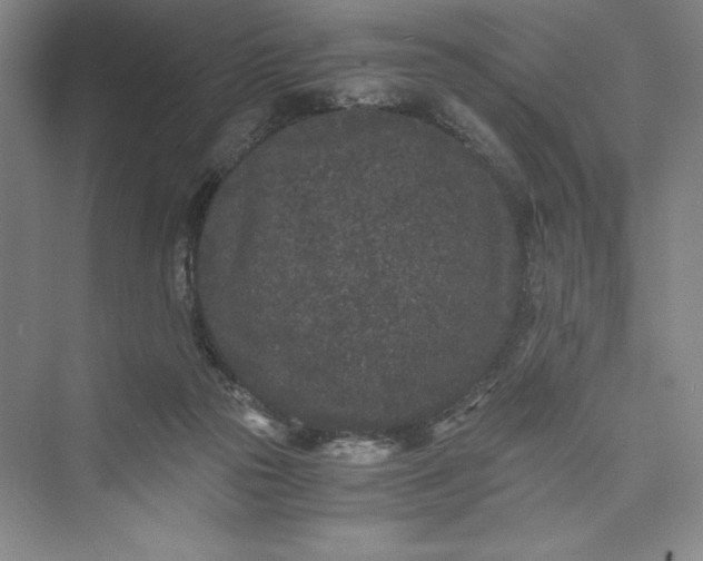 X0000073410169200608111334