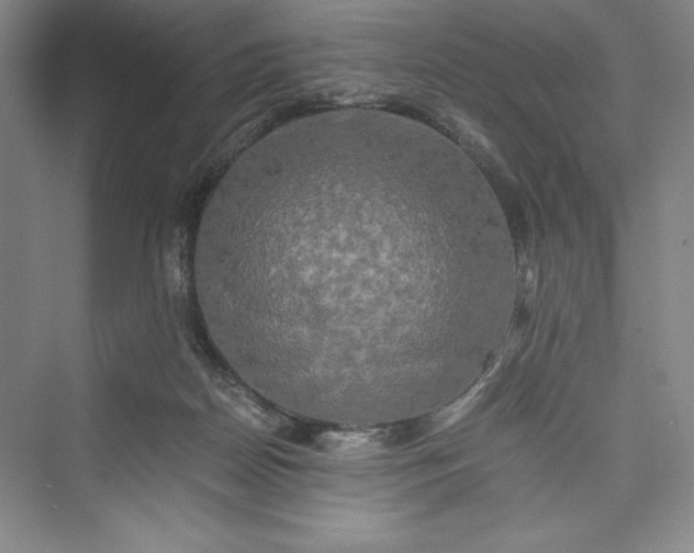 X0000073410170200608111334