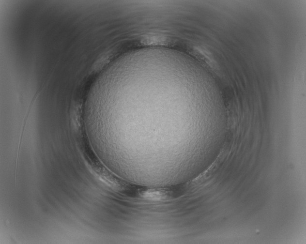 X0000073410171200608111334