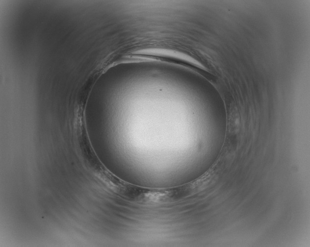 X0000073410172200608111334