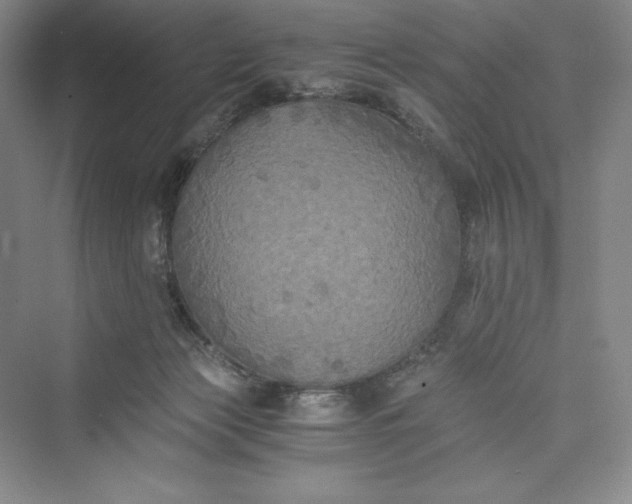 X0000073410173200608111334