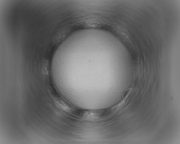 X0000073410174200608111334