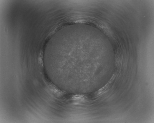 X0000073410175200608111334