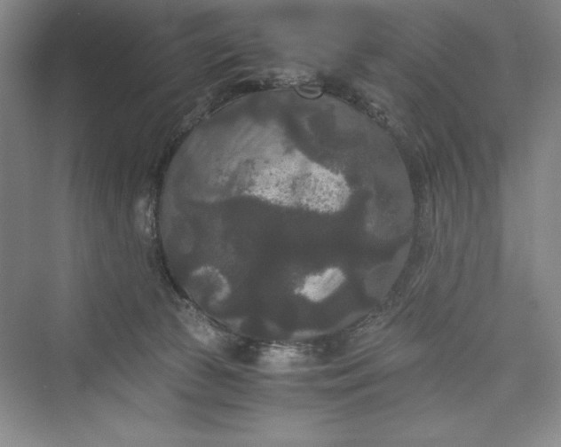 X0000073410177200608111334