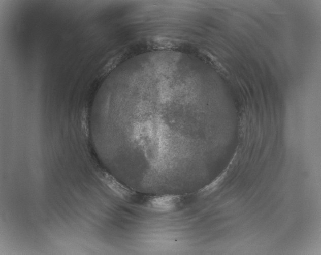 X0000073410178200608111334