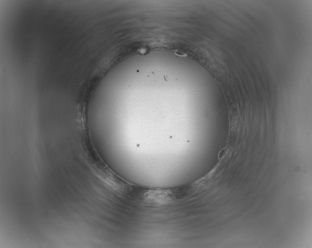 X0000073410179200608111334